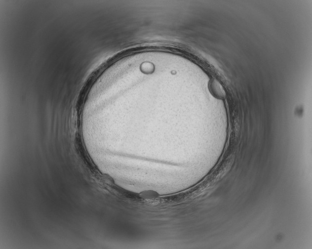 X0000116641267201001111200