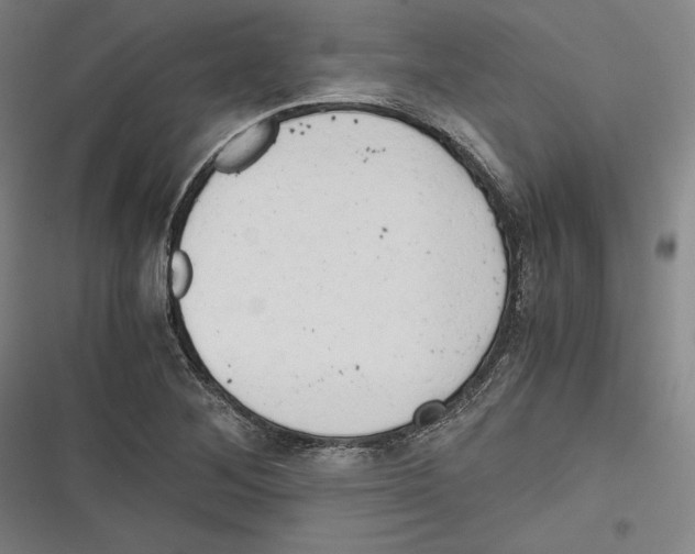 X0000116641268201001111200