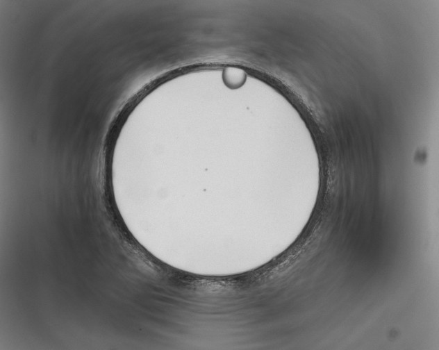 X0000116641270201001111200