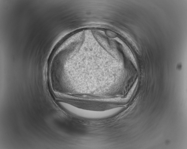 X0000116641275201001111200