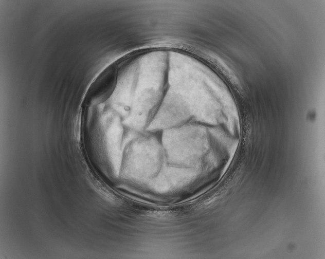 X0000116641276201001111200