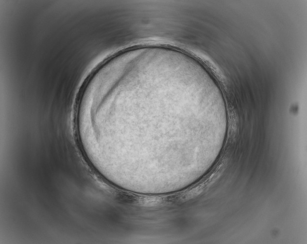 X0000116641278201001111200