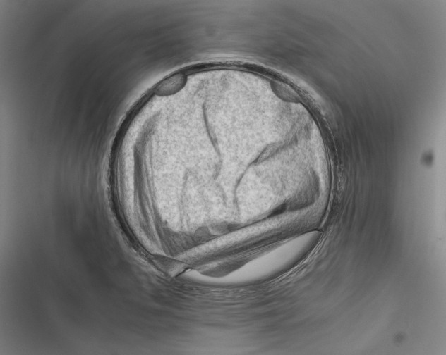 X0000116641279201001111200