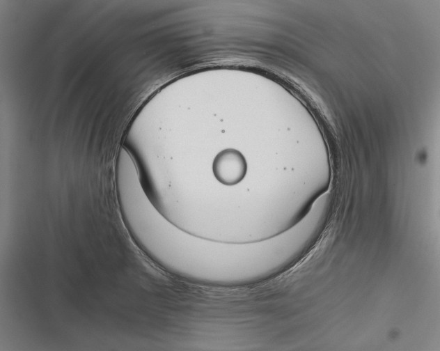 X0000116641281201001111200