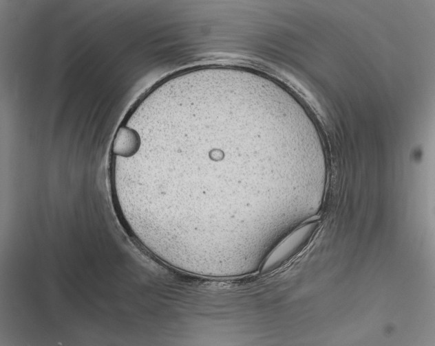 X0000116641283201001111200