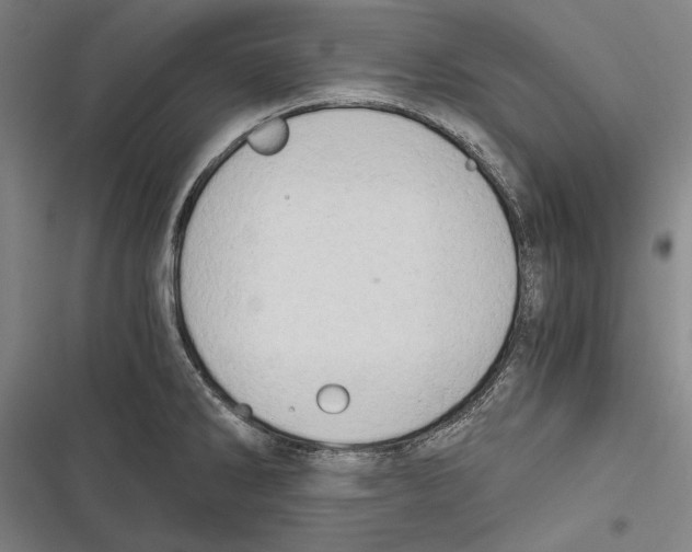 X0000116641286201001111200