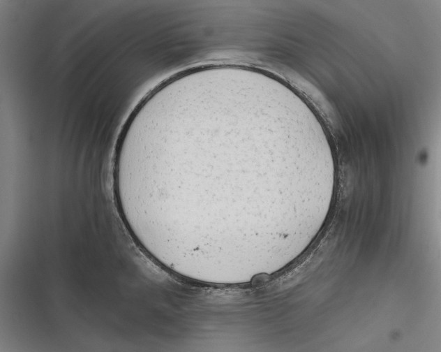 X0000116641288201001111200