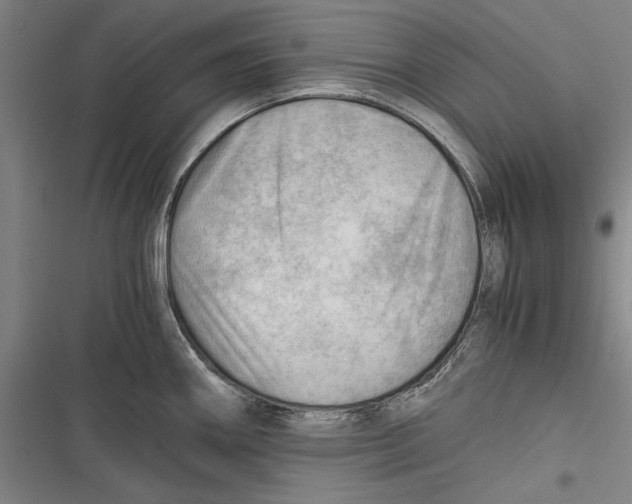 X0000116641290201001111200