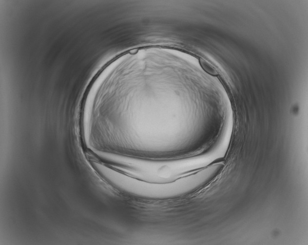 X0000116641291201001111200