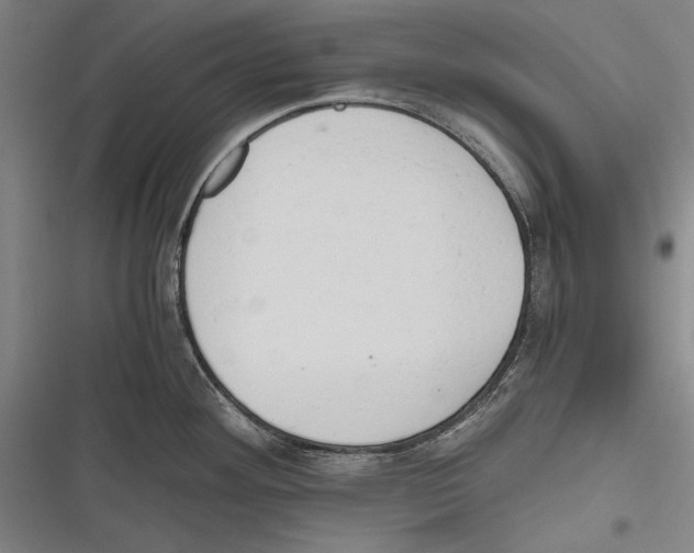 X0000116641292201001111200