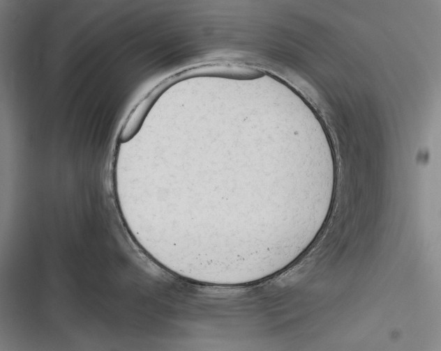 X0000116641296201001111200