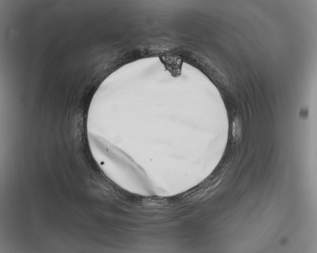 X0000116641299201001111159