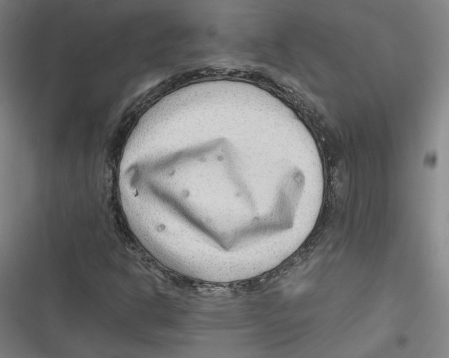 X0000116641302201001111159