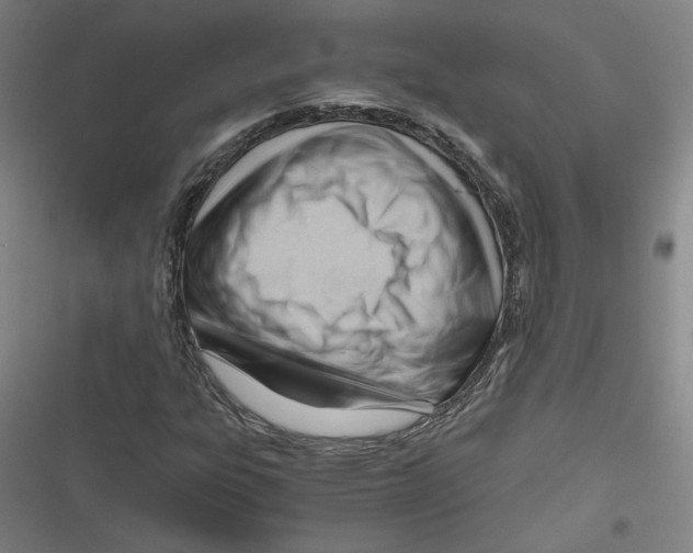 X0000116641303201001111200