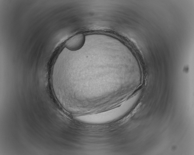 X0000116641306201001111200