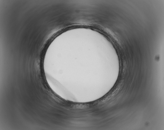 X0000116641307201001111200