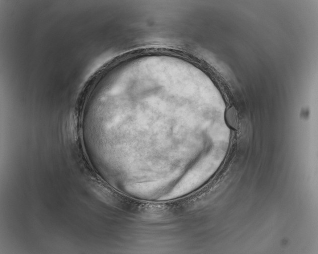 X0000116641310201001111200