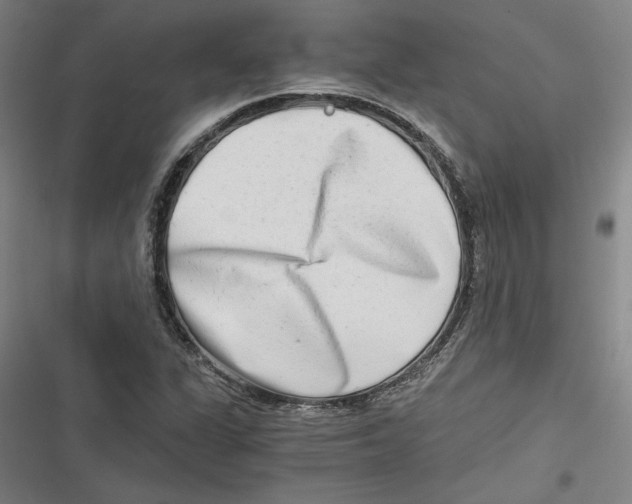 X0000116641311201001111200