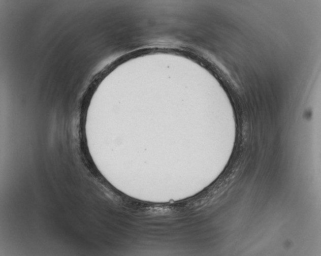 X0000116641315201001111200