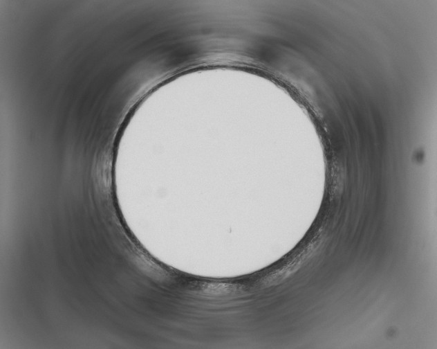 X0000116641322201001111200