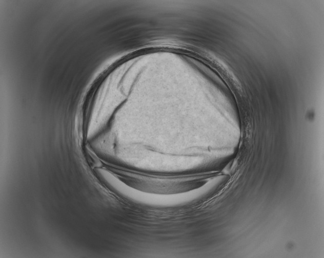 X0000116641323201001111200