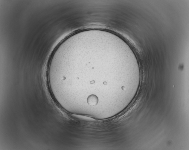 X0000116641325201001111200