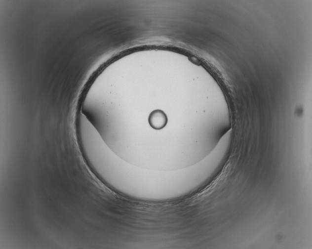 X0000116641326201001111200