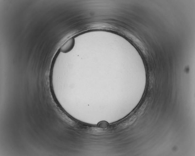 X0000116641330201001111200