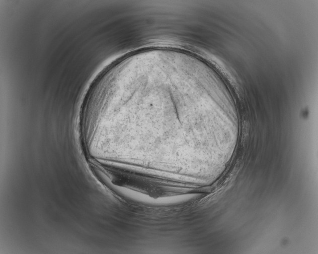 X0000116641331201001111200