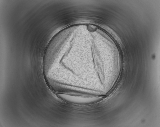 X0000116641337201001111200