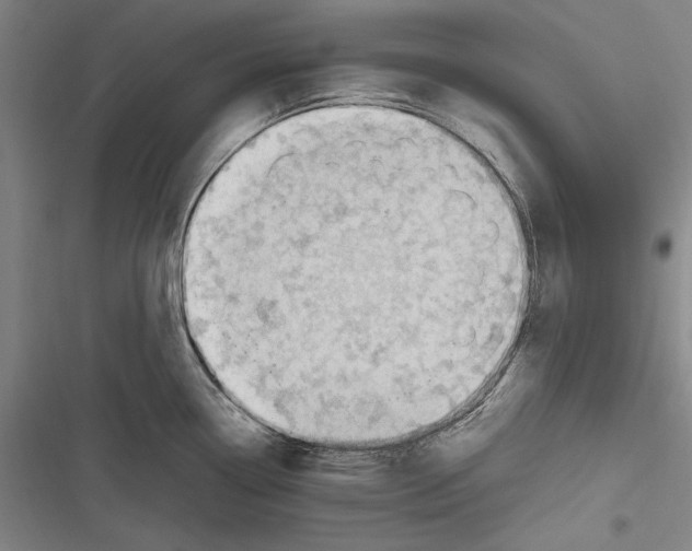 X0000116641338201001111200