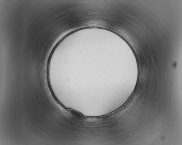 X0000116641339201001111200