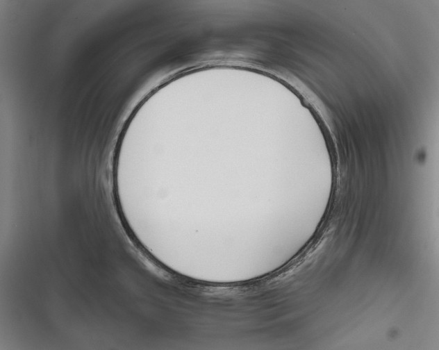 X0000116641341201001111200