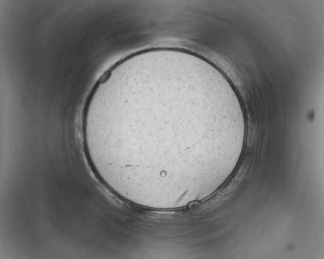 X0000116641342201001111200