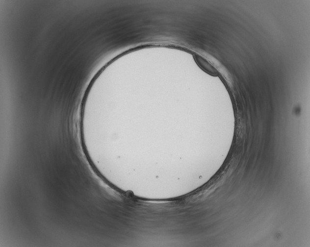 X0000116641343201001111200