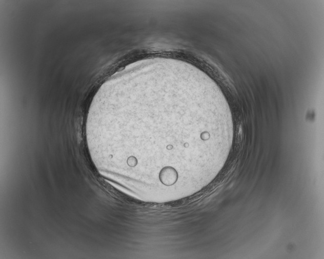 X0000116641348201001111159