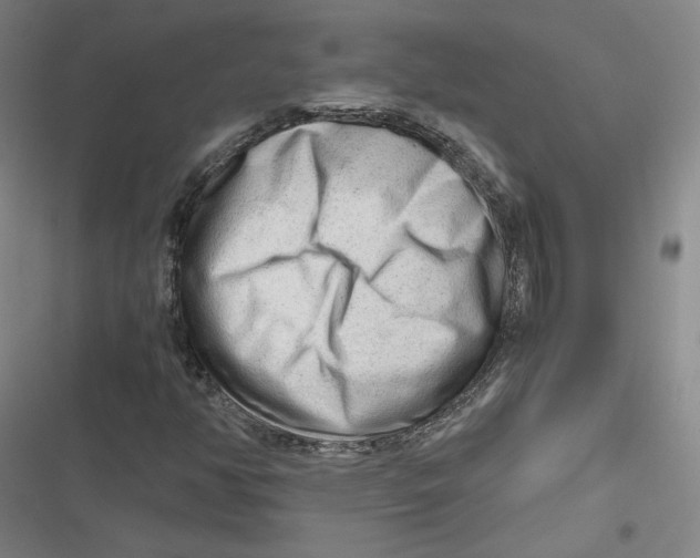 X0000116641350201001111159