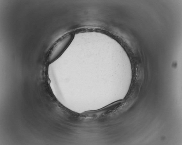 X0000116641352201001111159