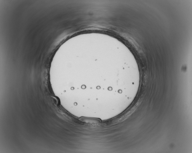 X0000116641355201001111159