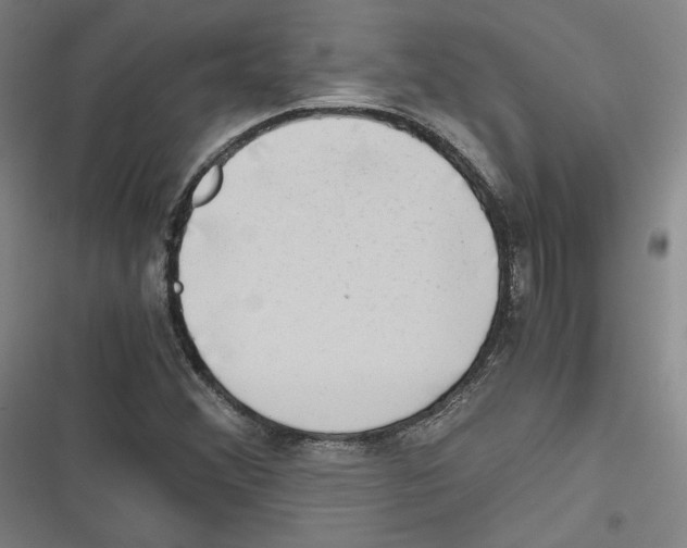 X0000116641356201001111159