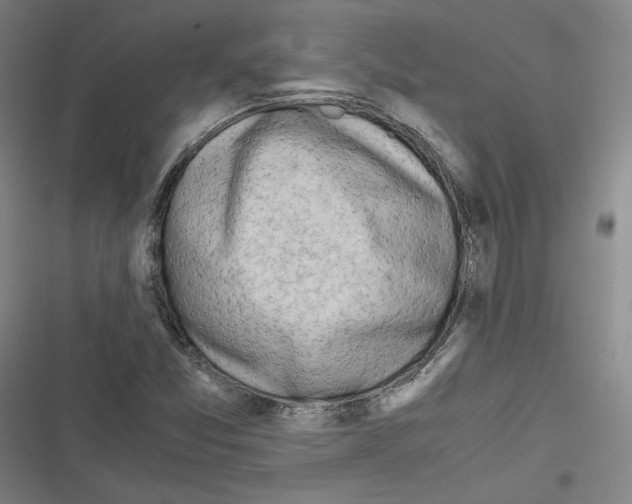 X0000116641357201001111159