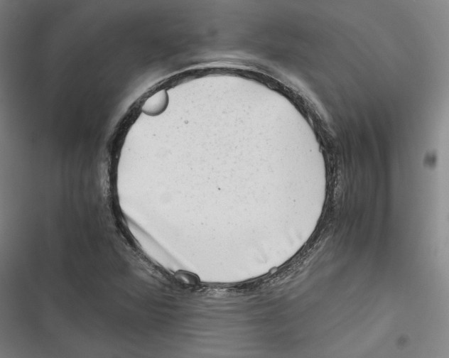 X0000116641360201001111159