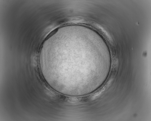 X0000116641361201001111159