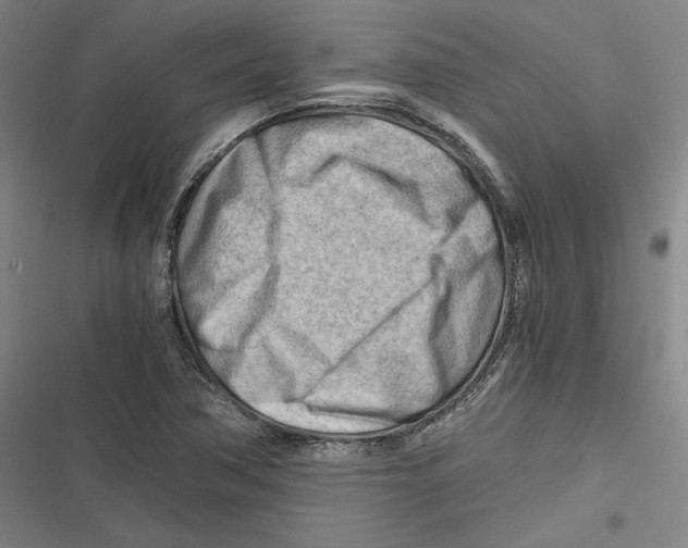 X0000116641362201001111159