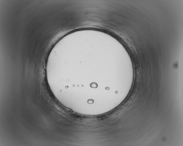 X0000116641363201001111159