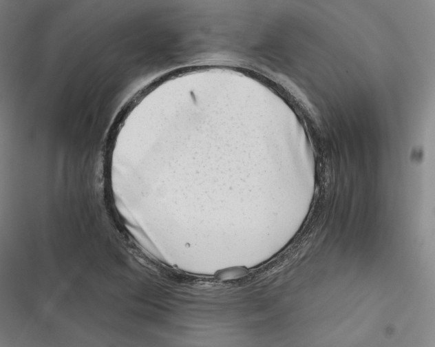 X0000116641364201001111159