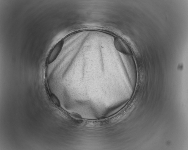 X0000116641365201001111159