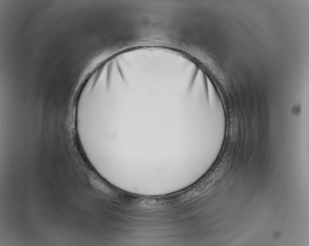 X0000116641366201001111159