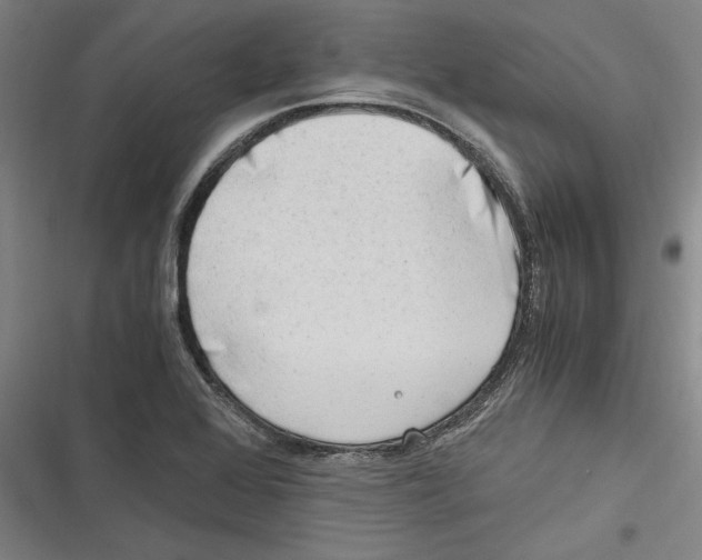 X0000116641368201001111159