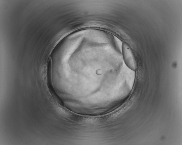 X0000116641369201001111159